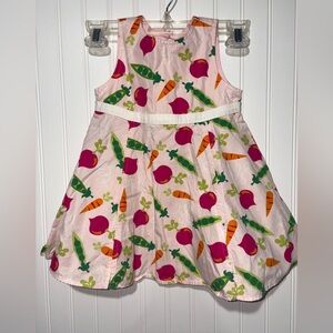 Gymboree Colorful Vegetable Print Dress| Size 2T
